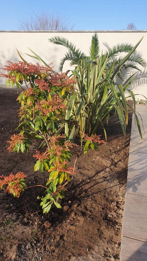 MAISON TERRASSE JARDIN SANS VIS-à-VIS PARKING ANIMAUX ACCEPTES Villa Gujan-Mestras Esterno foto